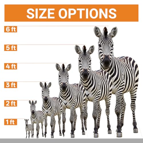 Image of 2FT Zebra Life Size Cardboard Cutout Standup for Party Decor | Zebra Cardboard Cutout Standup, 1 PC, for Events, Birthday, Photos, Party Decoration, Weddings, Holidays, Gifting