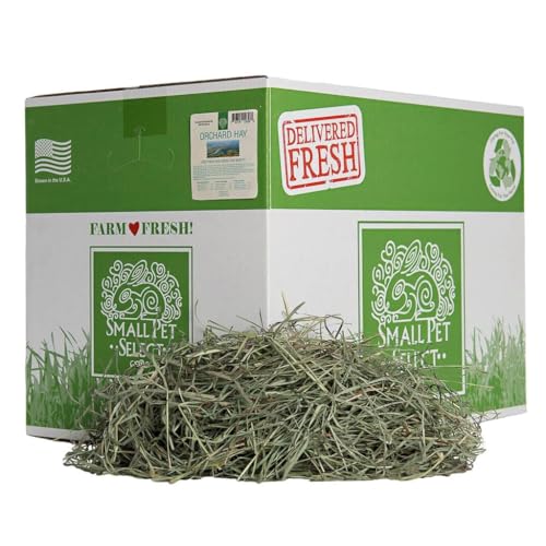 Small Pet Select Orchard Grass Hay Pet Food 20 Lb.