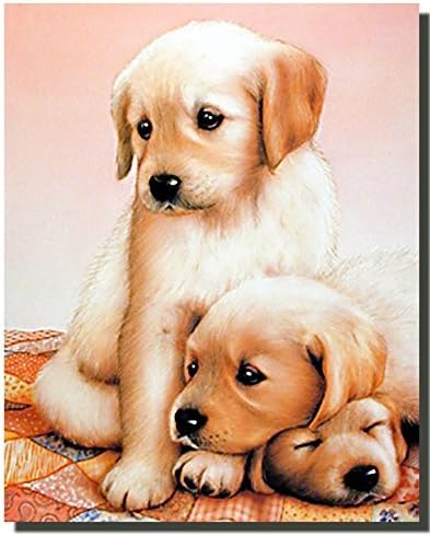 Impact Posters Gallery Cute Three Puppies Sleeping Dogs Kids Room Art Print Poster (16x20)