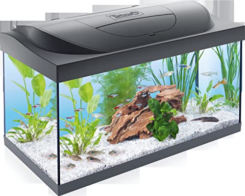 Tetra Starter Line LED 54L Acuario de inicio grande, bombilla LED con modo luz diurna/nocturna