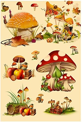 Vintage Poster Print Art Botanical Mushrooms Diagram Chart Champignons Identification Reference20.87'' x 31.50''