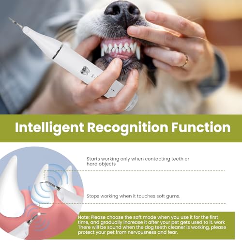 Zahnreinigungsset Ultraschall für Hund, Hundezahnreinigungsset mit LED-Licht, Zahnsteinentferner Ultraschall Zahnreiniger für Haustiere zum Entfernen von Zahnstein & Zahnbelag, 5 Reinigungsmodi