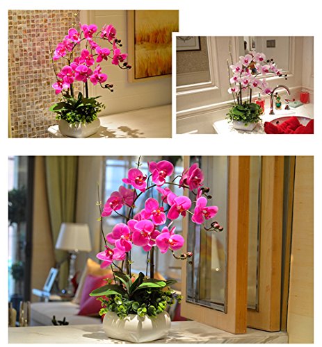 Ximkee 1 X Artificial Butterfly Orchid Flower Plant Home Decor Fuchsia (1Pcs, Red) #TOP6