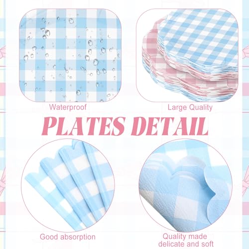 Image of Funnymoom 452 Pcs Gender Reveal Gingham Party Decoration for 50, Pink and Blue Gingham Checkered Paper Plates Napkins Cups Tablecloth Cutlery Straws for Gender Reveal Baby Shower Party Supplies