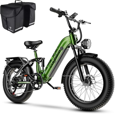 Kebiko 1500W Electric Bike for Adults,48V 20/25/60Ah Removable Battery Max