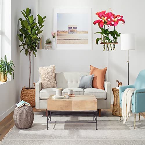 Wall Hanging Planter Glass,2 Tiered Plant Propagation Station With Wooden Stand,Propagation Terrarium Tubes Wall Hanging Planters Indoor For Hydroponic Plants,Home Garden Decor #TOP5