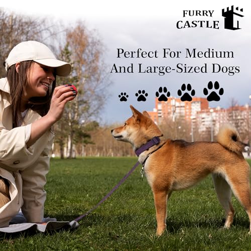 Image of Nylon Leash and Collar for Dogs with 360 Degree Rotating Clasp | Purple | Water Proof | for Medium and Large Dogs in Medium Size