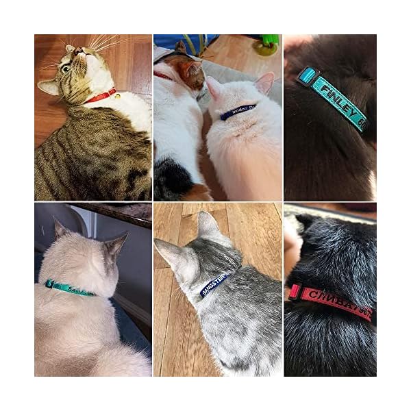 Personalized nylon cat collar breakaway with bell - custom embroidered text id collars with pet name and phone number - image 8