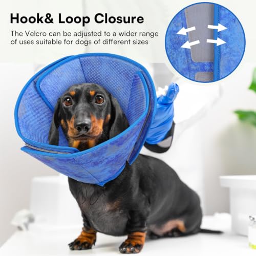 Image of Queenmore Soft Dog Cone Collar, Reversible Cone for Dogs to Stop Licking