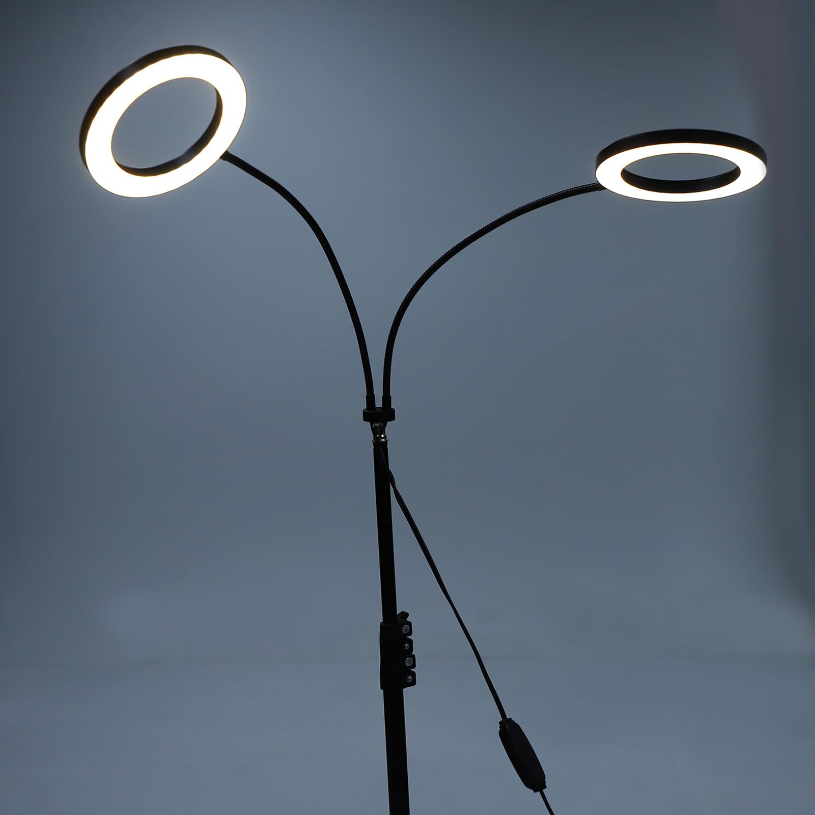 Lampada per Coltivazione delle Piante Lampada per Crescita a Spettro Completo con Timer 6 Livelli di Luminosità Altezza Regolabile per Piante da Interno Succulente Erbe Fiori 108 (Spina UE 2 teste