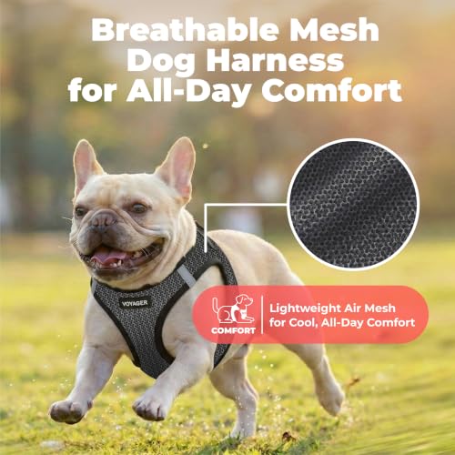 Image of Voyager Step-in Air Dog Vest Harness - Gray 2-Tone, Small