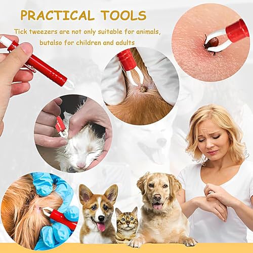 Zecken-Entferner, 3 Zangen für Zecken Katzen – tragbares Accessoire zur Fellpflege von Welpen und Katzen für den Hausgebrauch