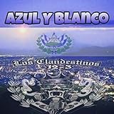  Azul Y Blanco