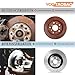 YCQTaoBao Front Rear Brake Rotor 4PC Replaces LR016176 Compatible with Land Rover Range Rover 2014 2015 2016 2017 2018 2013 Compatible with Land Rover Range Rover Sport 2014 2015 2016 2017 2018