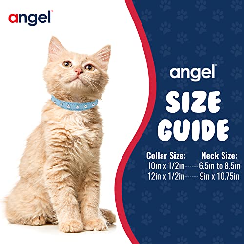 Angel Pet Supplies - Studded Cat Collar, Genuine Leather Kitten Collar, Sturdy Breakaway Cat Collar With Bell And Elastic Stretch, Water-Resistant Cat Accessories, Baby Blue, 10 X 1/2 Inches #TOP4