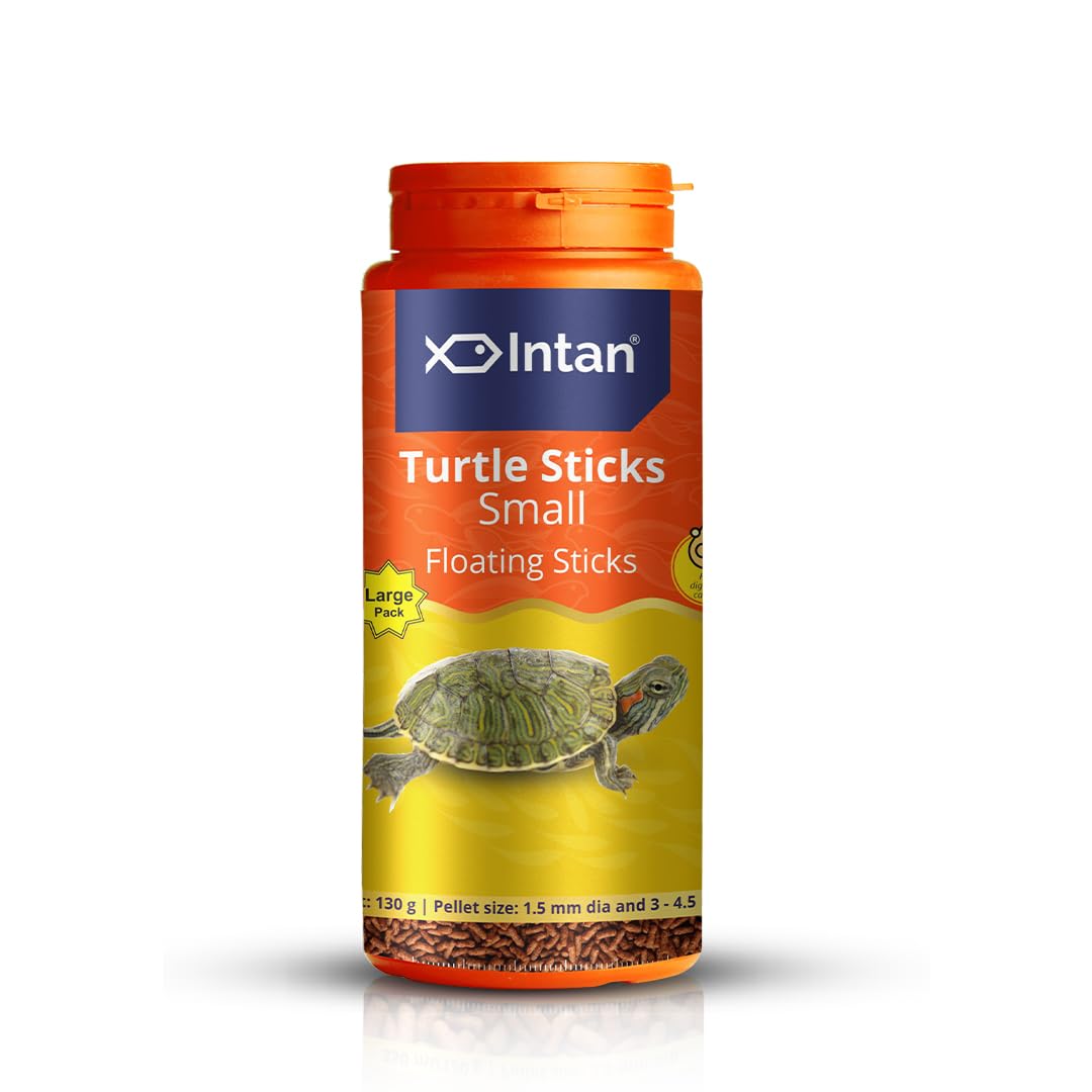 Intan - Turtle Sticks - Small