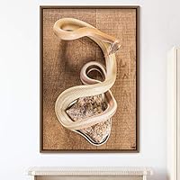 Framed Canvas Wall Art Snake Contemporary Dramatic Hallway Multicolor Photography Reptiles Snakes - 16x24 inches