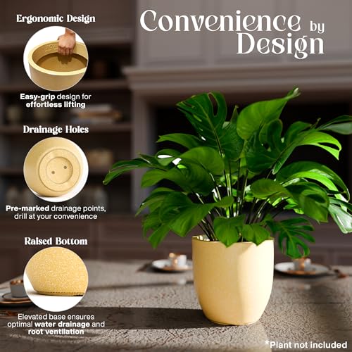 Image of YUCCABE ITALIA FOXB PCUP 10 INCH Pots for Plants Highly Durable Polymers Lightweight Indoor Outdoor Flower Pot Gamla Tree Planter Container Planters for Living Room, Balcony, Garden, Office