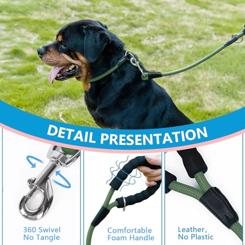 Dog Leash Braided Rope Traction  Walking Training Lead for Mediumlarge Dogs 12  2ft Dark Green  Cucciolini Doodles Dog leash braided rope traction  walking training lead for mediumlarge dogs 12  2ft dark green   cucciolini doodles