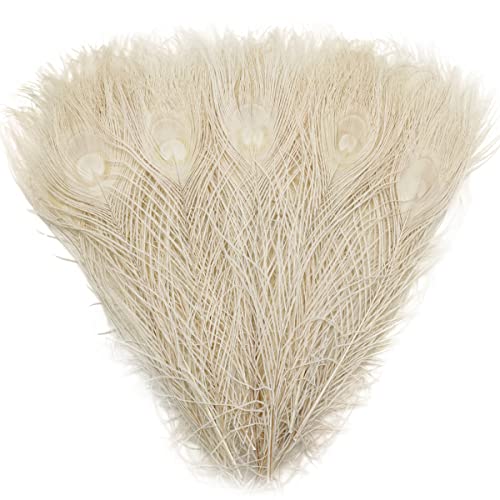 20pcs Off White Peacock Feathers 10-12Inch Feather for Crafts Hat Costume Christmas Tree Decor Wedding Holiday Decoration Floral Arrangements