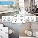 INEVIFIT Smart Body Fat Scale, Highly Accurate Bluetooth Digital Bathroom Body Composition Analyzer, Measures Weight, Body Fat, Water, Muscle, BMI, Visceral Fat & Bone Mass for Unlimited Users