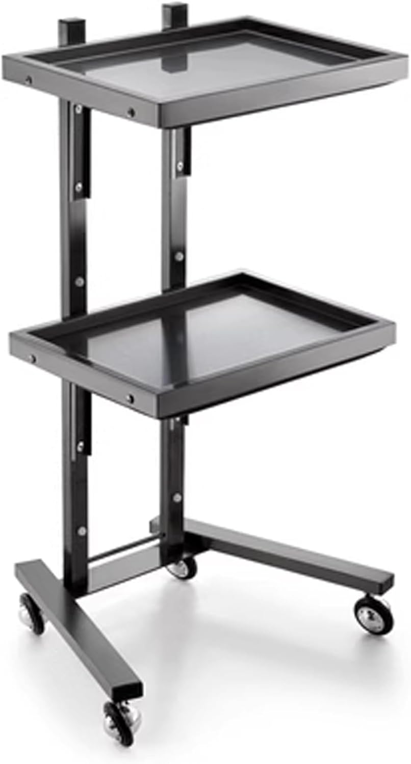 Tattoo Shop Collapsible Utility Carts on Wheels, 2 Tiers Stainless Steel Salon Tray Foldable Storage Stand for Salons, Spas, Barbershops & More