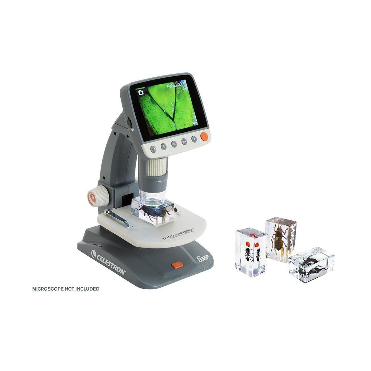 Celestron 44425 3D Bug Specimen Kit #5, Perfect for Entemology Enthusiasts, School Projects, Research or Gifts, Transparent Resin