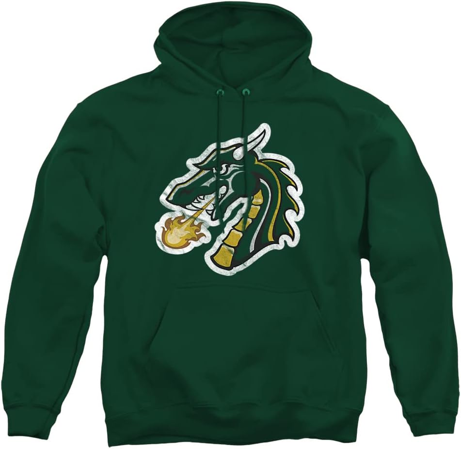 LOGOVISION Official Collegiate Distressed Primary Logo Adult Pullover Hoodie Collection