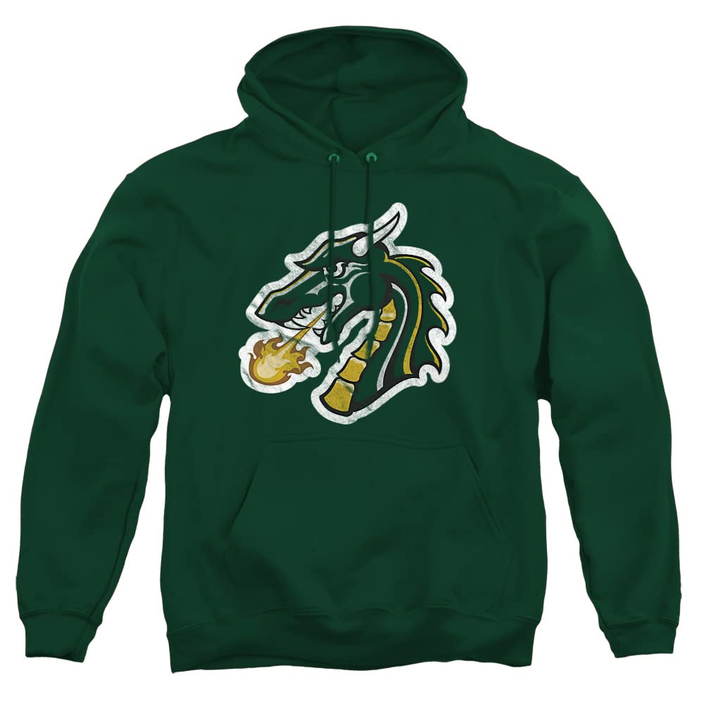 LOGOVISION Official Collegiate Distressed Primary Logo Adult Pullover Hoodie Collection — view 213
