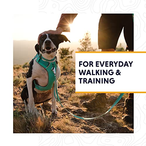 Ruffwear Front Range Dog Harness Reflective Padded Twill Free Dog Harness.