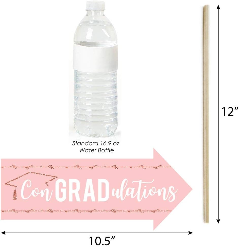 Big Dot of Happiness Funny Rose Gold Grad - Graduation Party Photo Booth Props Kit - 10 Piece
