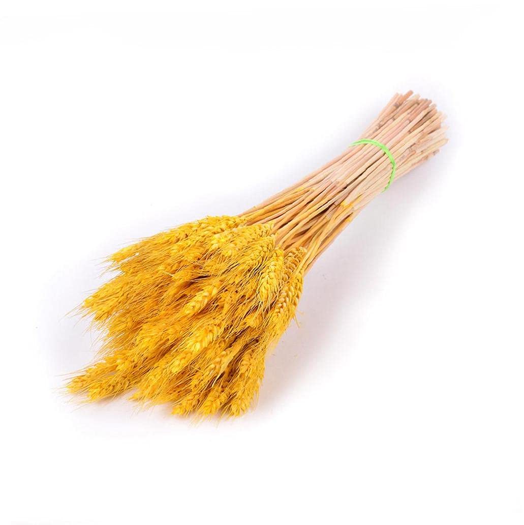 Tossper 50Pcs Artificial Flower, Artificial Plant Wheat Sheaves Dried Flowers For Wreath Supplies Diy Home Table Wedding Xmas Decor