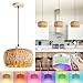 Lámpara colgante Boho de ratán E27 con batería, lámpara colgante vintage de bambú regulable con mando a distancia, lámpara colgante con bombillas RGB recargables para comedor, sin necesidad de