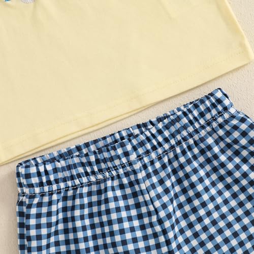 Image of Toddler Baby Boy Easter Rabbit Outfit Short Sleeve Bunny Carrot Smocked T-shirt Elastic Waist Shorts Summer Clothes