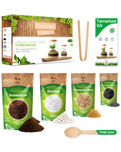 PYEF CRAFTS Terrarium Kit, Succulents & Indoor Plants...