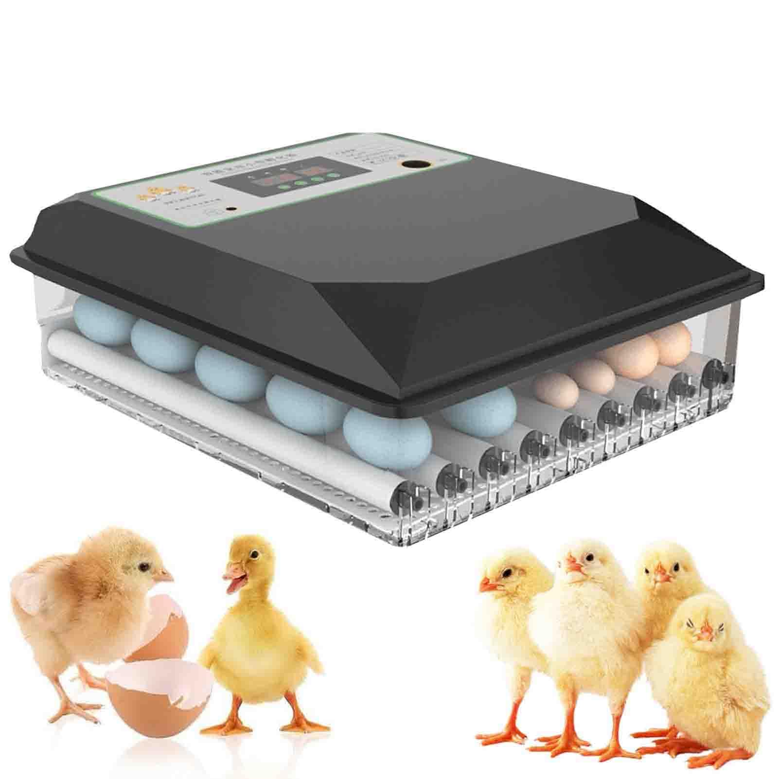 Incubadora de huevos para incubar 64 huevos, inteligente automática con giro de huevos, control de temperatura y humedad, iluminación LED para pollos, patos, codornices