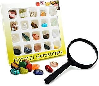 BEADNOVA Gemstone Rock Collection Kit for Kids Geology Science Learning with Magnifier Reading