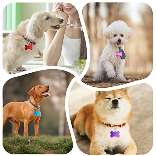 Hundemarke Knochen Hundemarken aus Aluminium 30Stk Erkennungsmarke Rohling 2,5 x 3,8cm Adressanhänger hund Wasserdicht mit Hundemarke Kette für DIY Hunde und Katzen Haustier-Erkennungsmarke