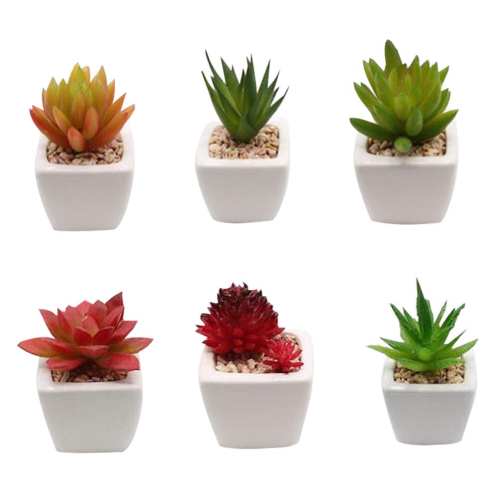 Succulente Artificielle Mini Pot Céramique Lot de 6 Set de Pièces Blanc