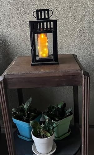 Review Image by Barbara A. Daugherty