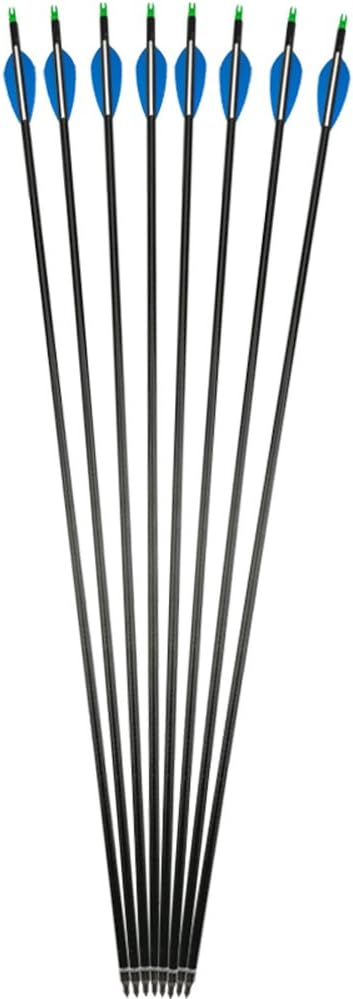 6/12 Pack 30 Inch Archery Fiberglass Arrows Target Hunting Practice Hunting Arrows with 100 Grain 3 Blades Broadheads