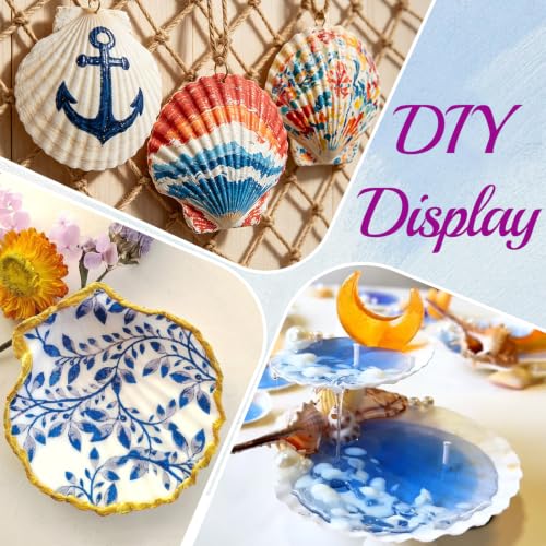Image of QICQDRAM 25PCS Seashells for Crafts 4''-5'' Scallop Shells for Painting