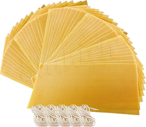 Stakich Candle Making Beeswax Kit, 50 Full Size Sheets (Approx. 8 1/8
