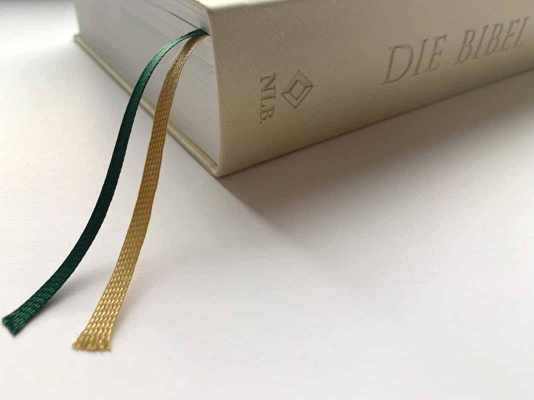 Die Bibel mit Impulsen von Joyce Meyer, Kunstlederausgabe: Lesen. Glauben. Leben. (Neues Leben. Die Bibel)
