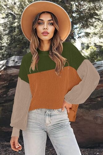 Image of Zeagoo Women 2026 Fall Lightweight Oversized Sweater Crew Neck Long Sleeve Color Block Pullover Rib Knit Blouse Tops XS-2XL