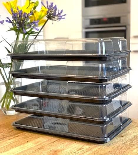 5 x Large Catering Platters & Lids (450mm x 310mm x 75mm) Reusable rPET Plastic