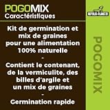 Reptiles Planet Pogomix, kit de graines à germer pour pogona photo 4