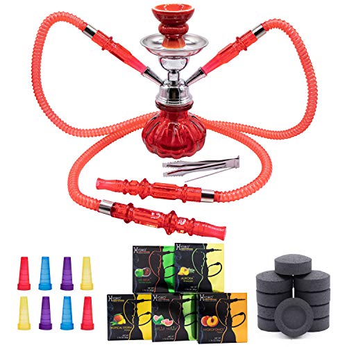 2 Hose Hookah Set, Portable Mini Pumpkin Hookah Kit with Accessories, 5 Hydro