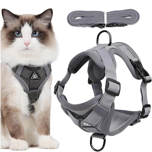 JYNVO Pettorina per gatti con guinzaglio, anti-fuga, pettorina regolabile per gatti con strisce riflettenti e rete traspirante per la sicurezza notturna, comoda per gatti, gattini, cuccioli (grigio-M)