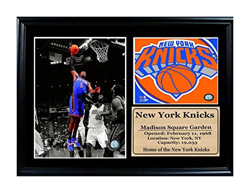 Encore Select 127-62 NBA New York Knicks Amerce Stoudemier Photo Stat Frame with Two Images and Plaque, 12-Inch by 18-Inch